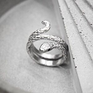 Silver Snake Ring